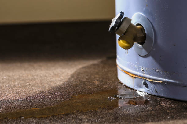 Best Flood restoration services  in Columbus Af, MS