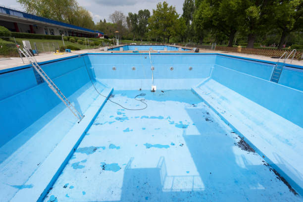 Best Water damage contractors near me  in Columbus Af, MS