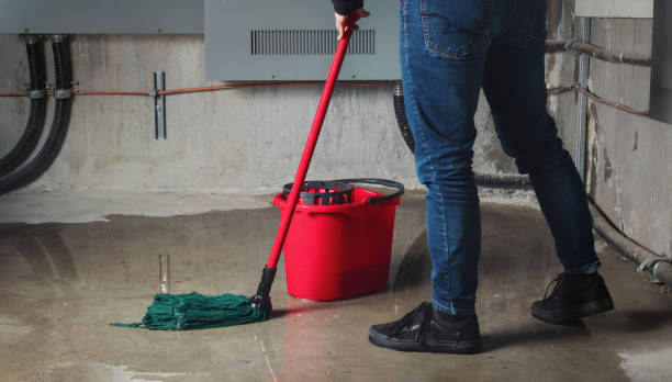 Best Sewage cleanup and water damage restoration  in Columbus Af, MS