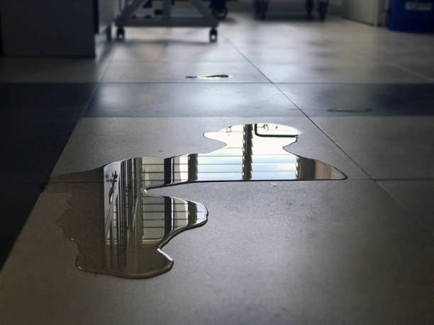 Best Emergency water damage restoration  in Columbus Af, MS