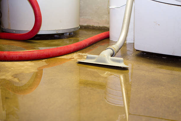 Water damage restoration process in MS