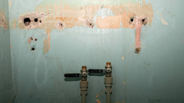Best Professional water damage repair  in Columbus Af, MS