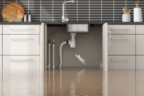 Best Water damage mitigation services  in Columbus Af, MS